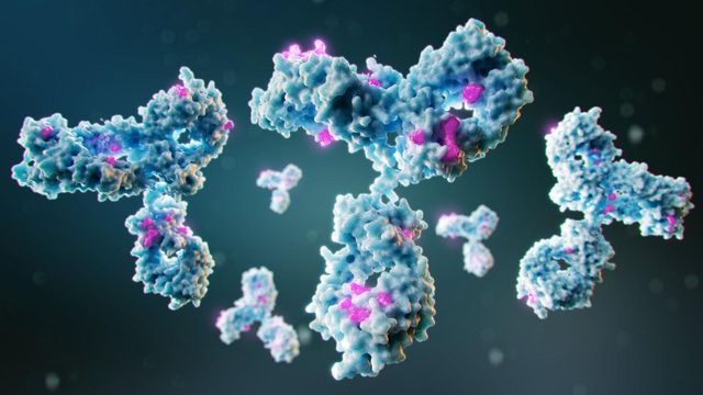 3D rendering of multiple antibody molecules, shown as blue and purple Y-shaped structures floating in a dark background.  