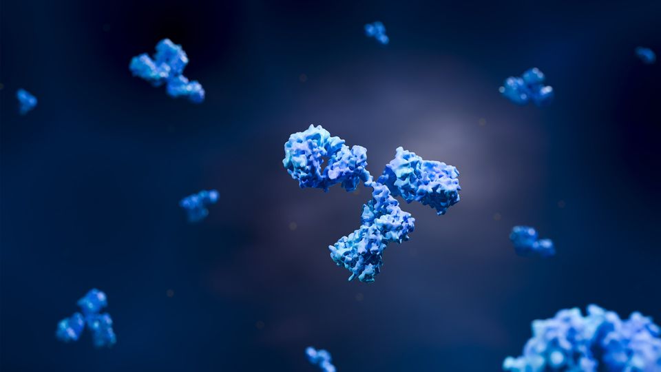 Blue antibodies floating on a dark background, illustrating antibody screening.