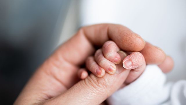 A close up of an adult hand holding an infants hand. 