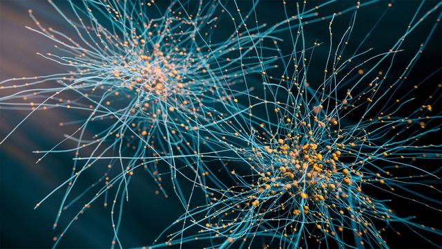 3D illustration of interconnected neurons with glowing synapses on a dark background 