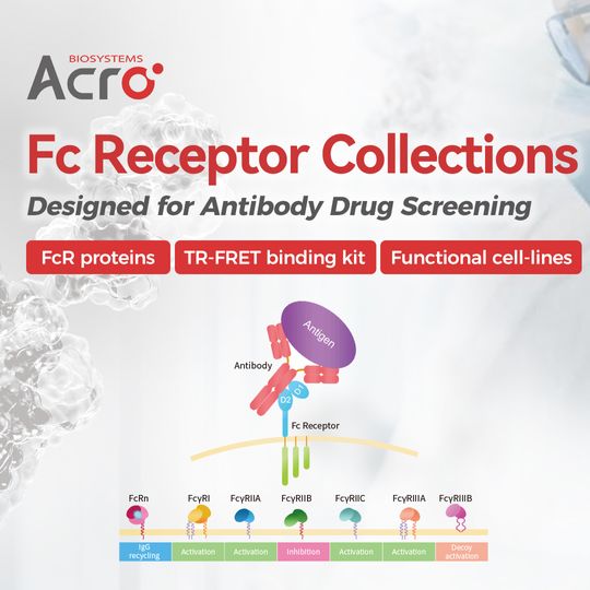 ACROBiosystems Fc Receptor Collections for antibody drug screening, featuring FcRn and Fc gamma receptor proteins and tools. 