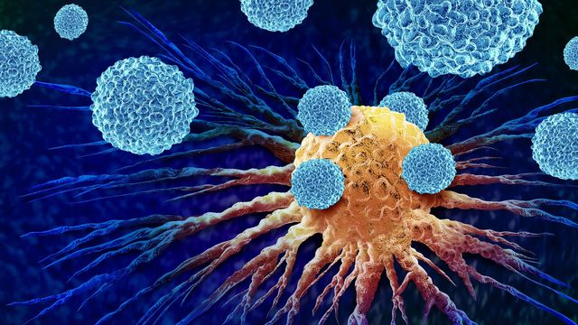 White immune cells attack a yellow cancer cell during immunotherapy.
