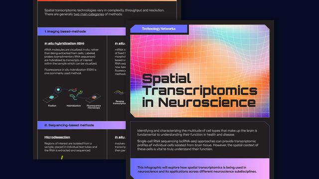 A snippet of spatial transcriptomics in neuroscience infographic on a dark navy background. 