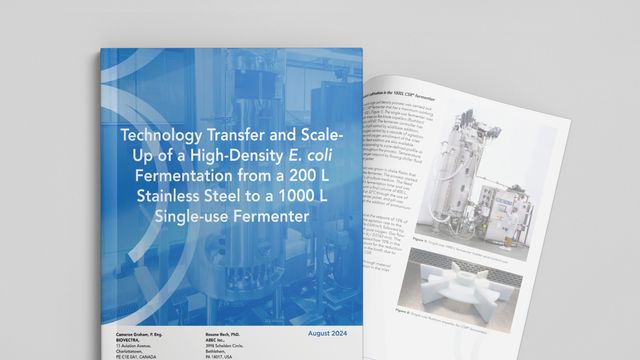 Brochure on E. coli fermentation scale-up from 200L stainless steel to 1000L single-use fermenter 